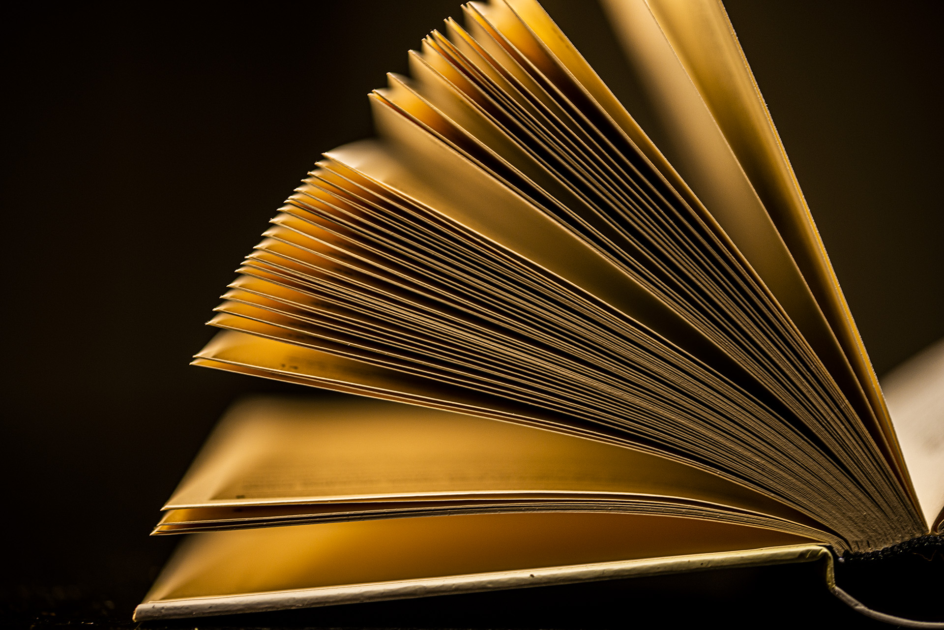 divi service section image 5